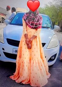 Elegant Ethnic Gown