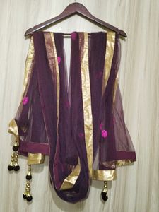 Beautiful Net Duppatta For Womens