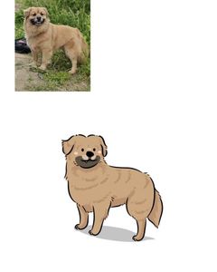 Custom Pet Doodles and Portait Illustrations