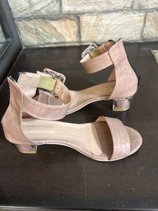 Blush Nude Block Heels with Transparent Heel