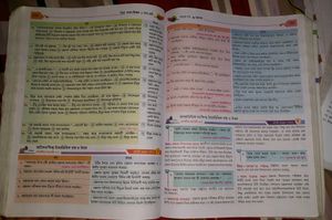 Class 9 এর ছায়া বাংলা শিক্ষক , ডঃ অমল পাল