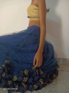 Beautiful Blue Lehenga