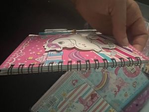 Unicorn Notebooks