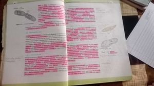 12th Biology Book