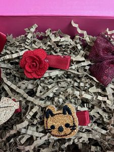 Hair Clips