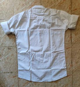 Cotton XXL Shirt(44)