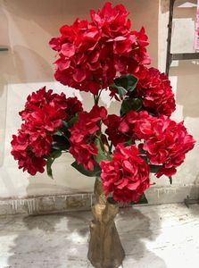 Red Plant