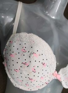 Flamingo Print Bra 🔥