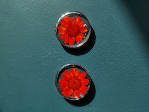 Daisy Flower Earrings🌸