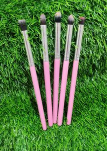 Eye Brushes Set Of 5