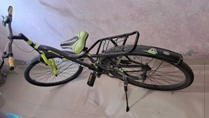 Forza Cycle