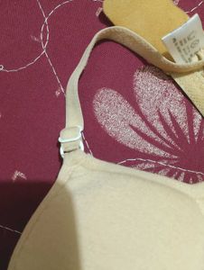Padded Bra ( Unused)