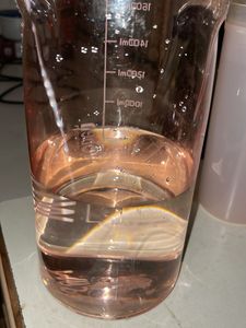Pink 2L Water Bottle