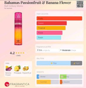 Bahamas | 10ml Decant