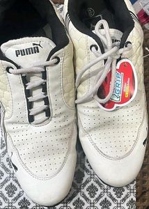 Puma Copy Sports Shoes