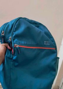 Bag back