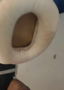 Head phone of Zebronics