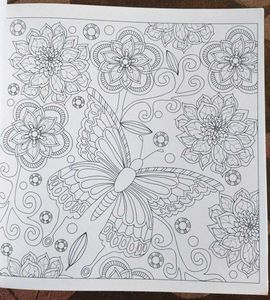 Navneet Color Book For Coloring/Painting