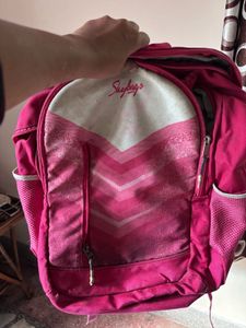Skybags Pink Backpack