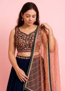 Beautiful Lehenga Choli Price Dop
