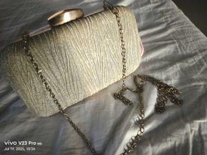 Elegant Silver Clutch