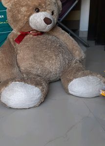 Big Teddybear Self Pickup