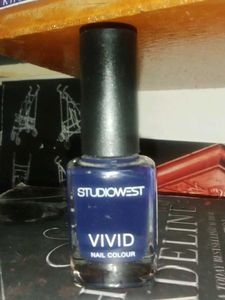 Aesthetic Navy Blue Nail Colour