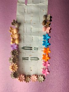 Cute Hair Clips and mini clutter