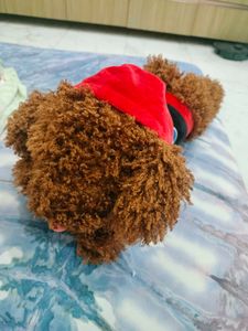 Pepsi Teddy Bear Plush