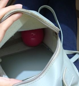 Bag