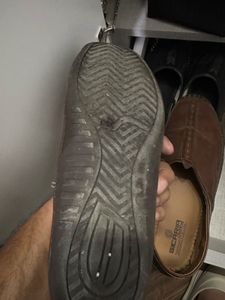 Sicaria Tan Bellies Wore Thrice Only With Box