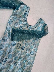 Elegant Ethnic Gown