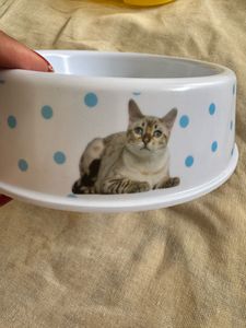 Pet Food Bowl x 1