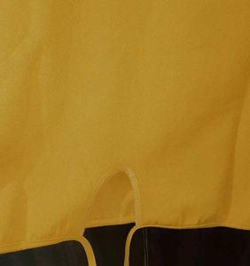 Cute Yellow Crop Top