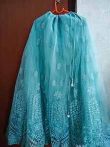 Aqua Embellished Lehenga