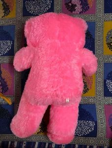 New Teddy Bear (2 Feet 3 Inches)
