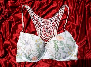 Bra