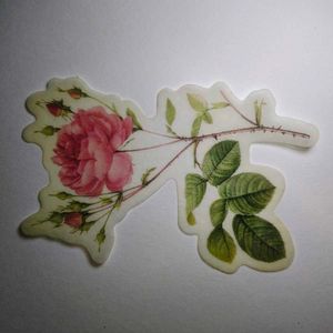 Collection of “Before We Say Goodbye” Book, Bracel