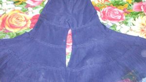 Elegant Embroidered Ethnic Dress