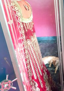 Bridal Red Velvet Zardozi Worked Gown