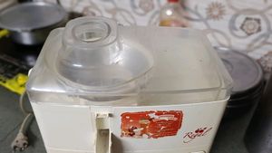 Mixer Grinder