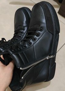 Unused Roadster Boots/Sneakers