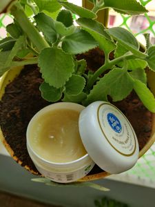 Mom&#39;s Co Nipple Butter