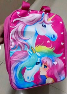 Insulated Lunch Bag Brand New