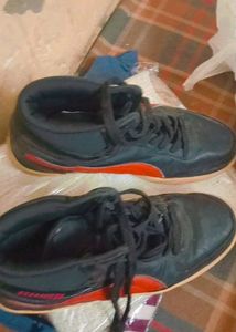 Original Puma Shoes For Mens