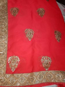 Sitara With Moti Work Saree