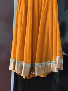 Heavy Embroided skirt and blouse