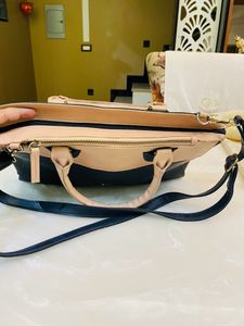 Baggit Handbag