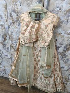 Elegant Lehenga Choli Set