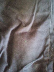 Parx Slim Fit Chinos